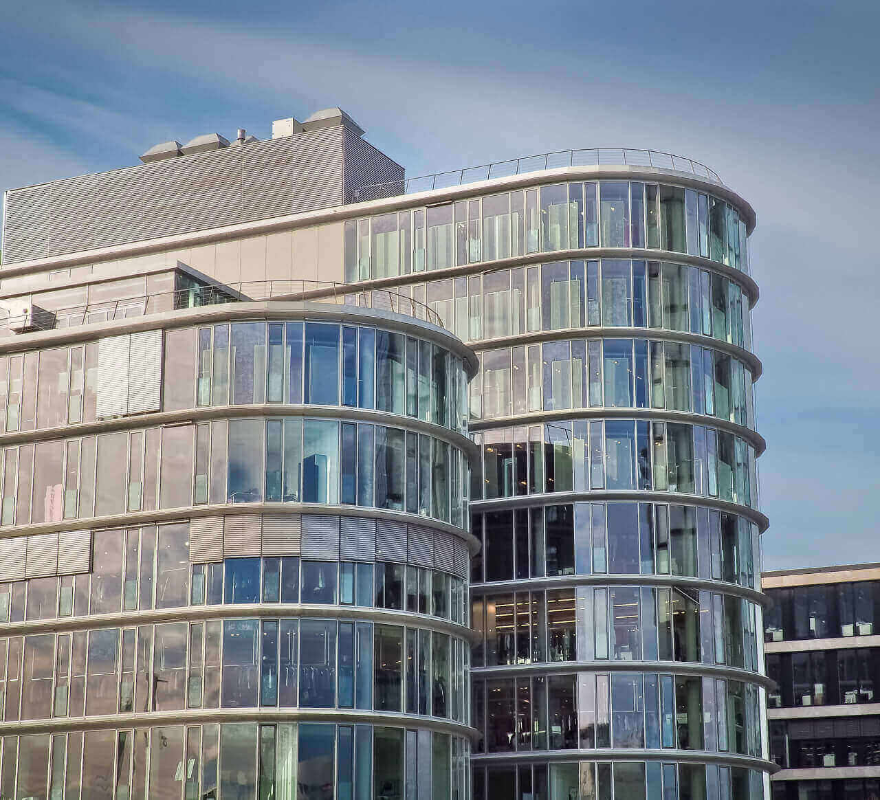 About Flexile Classic